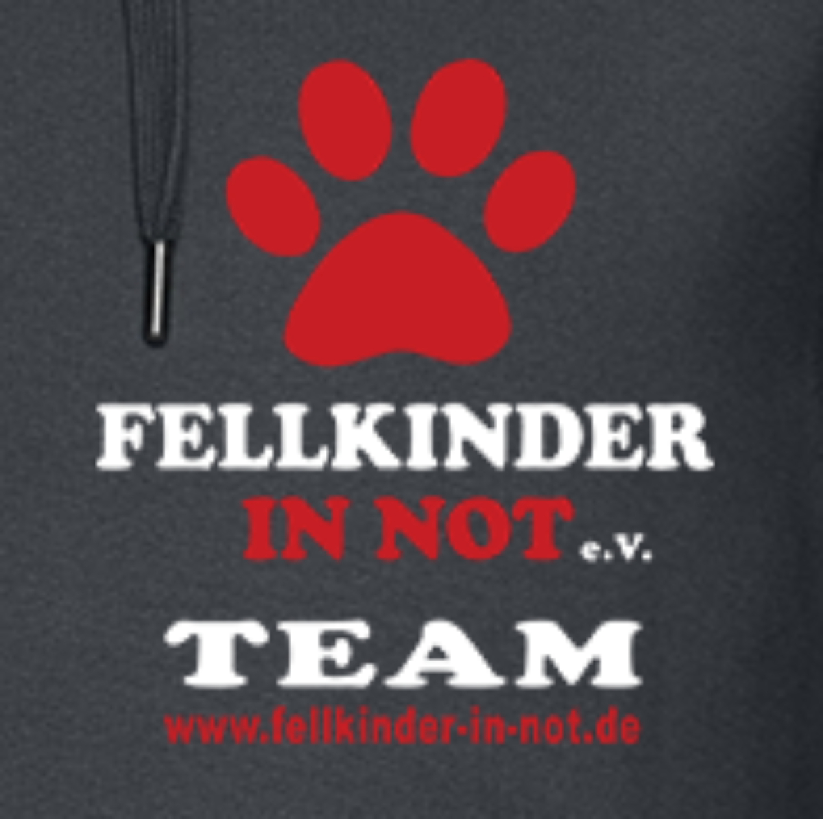 King Hoodie TEAM