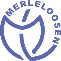 merle-loosen-shop
